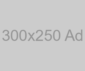 300x250
